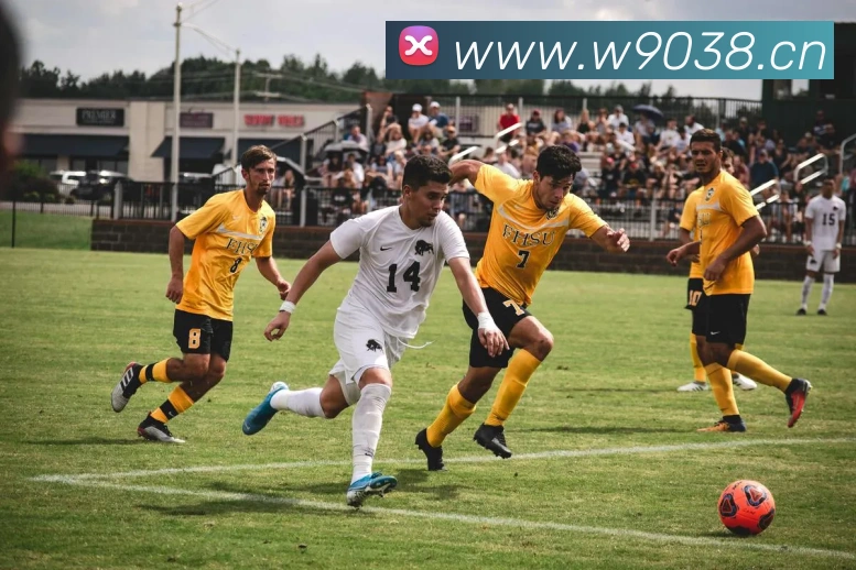 星空体育综合入口APP 封面图